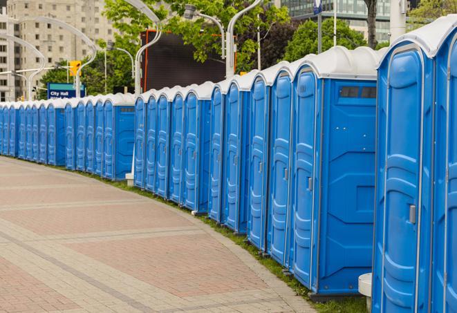 Seasonal porta potty units set up at a Menomonie, Wisconsin venue